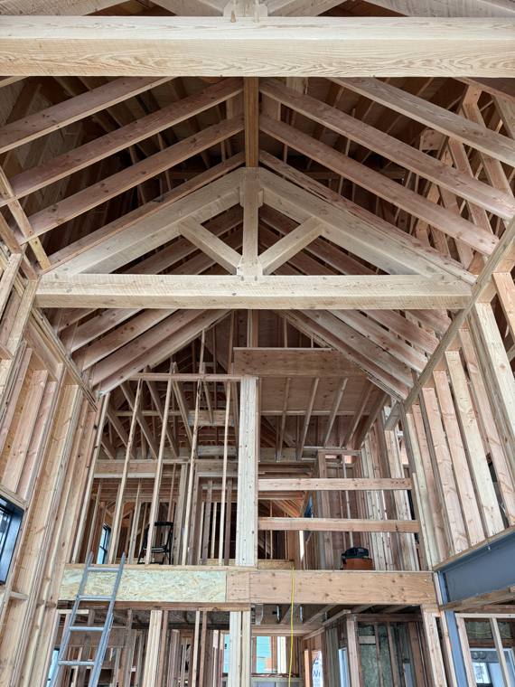 Interior view of vaulted roof trusses
